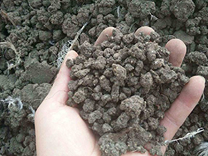 �l(f��)���u�S�ЙC(j��)����-���|�ʘI(y��)