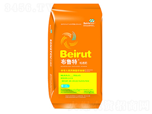 ��������͸��-�ǃ|�r(n��ng)�I(y��)