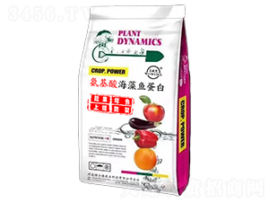 氨基酸海藻魚(yú)蛋白-佰士德農(nóng)業(yè)