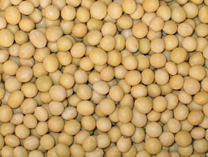 �|��1̖-�󶹷N��-�|��