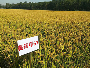 ���h��67-ˮ���N��-�|��