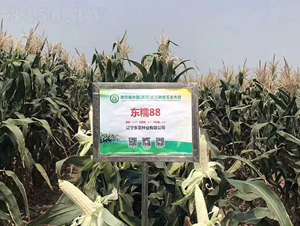 �|Ŵ88-���׷N��-�|��