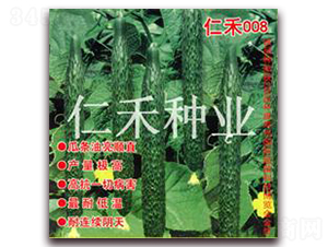 �ʺ�008-�S�ϷN��-�ʺ̷N�I(y��)