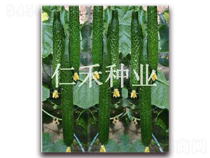 �ʺ�009-�S�ϷN��-�ʺ̷N�I(y��)