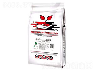 ���������-ǰ�طʘI(y��)