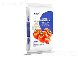 ���Ѽt����-�ֿ�˹-ǰ�طʘI(y��)