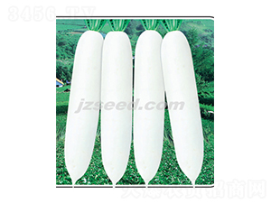 �h�׽�-�}���N��-�F(xi��n)���N�I(y��)