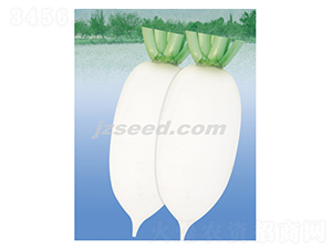 ���@ؕƷ-�}���N��-�F(xi��n)���N�I(y��)