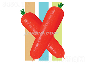 �t��808��S-���}���N��-�F(xi��n)���N�I(y��)