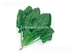 �|���G��-���˷N��-�F(xi��n)���N�I(y��)