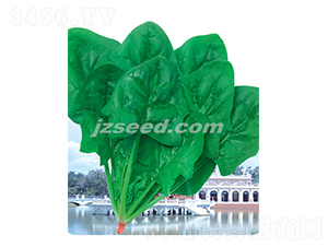 ���-���˷N��-�F(xi��n)���N�I(y��)