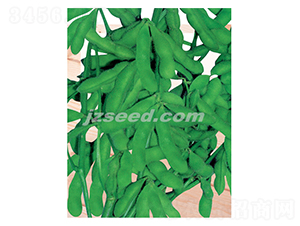 �����̖-ë���N��-�F(xi��n)���N�I(y��)