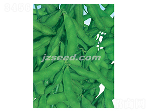 ���r��̖-ë���N��-�F(xi��n)���N�I(y��)