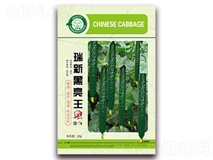 ���º�����-�S�ϷN��-�|���S