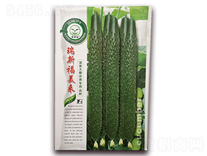 ���¸�����(l��i)-�S�ϷN��-�|���S