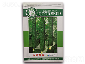 ���½��-�S�ϷN��-�|���S