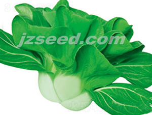 ���r(n��ng)�ذ���-С�ײ˷N��-�F(xi��n)���N�I(y��)