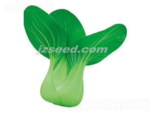 ����325-С�ײ˷N��-�F(xi��n)���N�I(y��)