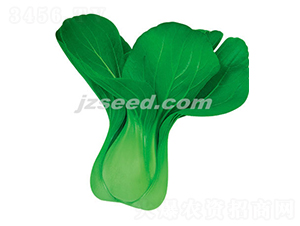 ����22-С�ײ˷N��-�F(xi��n)���N�I(y��)