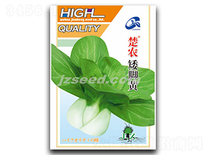 ���r(n��ng)���_�S-�ײ˷N��-�F(xi��n)���N�I(y��)