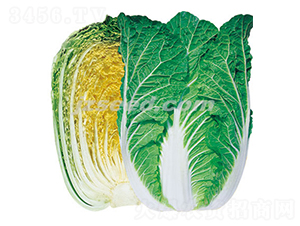 ��-�ײ˷N��-�F(xi��n)���N�I(y��)