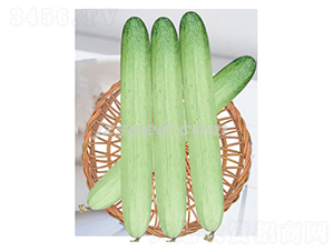 �n���y��-�S�ϷN��-�F(xi��n)���N�I(y��)