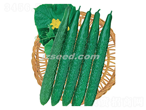 �n�д���-�S�ϷN��-�F(xi��n)���N�I(y��)