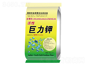 ���Ծ����-�f�ژ�(l��)-��ػ���