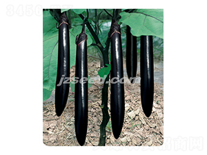 �f������-���ӷN��-�F(xi��n)���N�I(y��)