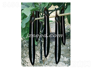 �f������-���ӷN��-�F(xi��n)���N�I(y��)