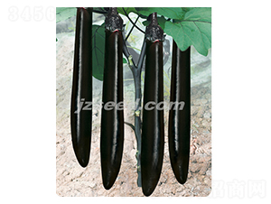 �f������-���ӷN��-�F(xi��n)���N�I(y��)