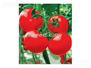 �Ă�1026-���ѷN��-�F(xi��n)���N�I(y��)