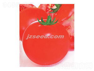 �ă�(y��u)��-���ѷN��-�F(xi��n)���N�I(y��)