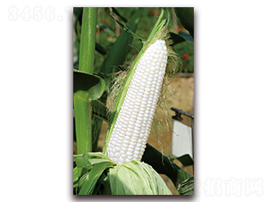 �A������169-Ŵ���׷N��-�A���N�I(y��)