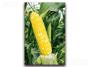 �A��Ŵ7̖-Ŵ���׷N��-�A���N�I(y��)