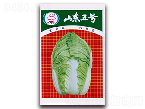 ɽ�|��̖-��ײ˷N��-�A���N�I(y��)