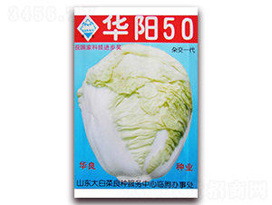 �A�50-��ײ˷N��-�A���N�I(y��)