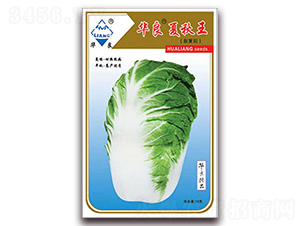 �A��������-��ײ˷N��-�A���N�I(y��)