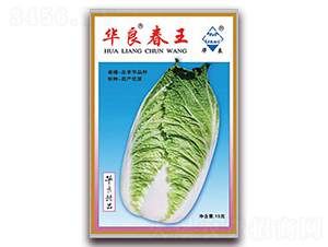 �A������-��ײ˷N��-�A���N�I(y��)