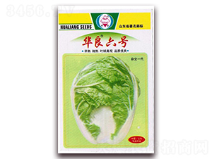 �A����̖-��ײ˷N��-�A���N�I(y��)