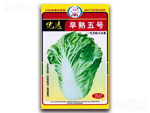 ��(y��u)�x������̖-��ײ˷N��-�A���N�I(y��)