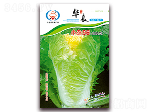 С�s56-��ײ˷N��-�A���N�I(y��)