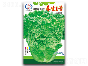 �B(y��ng)��1̖(h��o)-��ײ˷N��-�A���N�I(y��)