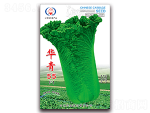 �A��55-��ײ˷N��-�A���N�I(y��)