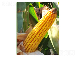 ����59̖-���׷N��-�A���N�I(y��)