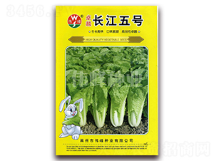 ׿Խ�L(zh��ng)����̖(h��o)-�ײ˷N��-����N�I(y��)