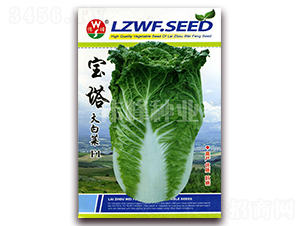 ������ײ�F1-�ײ˷N��-����N�I(y��)