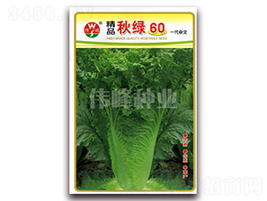 ��Ʒ��G60-�ײ˷N��-����N�I(y��)