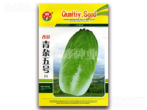 �������s��̖(h��o)F1-�ײ˷N��-����N�I(y��)