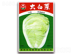 ��ײ�19̖(h��o)-�ײ˷N��-����N�I(y��)